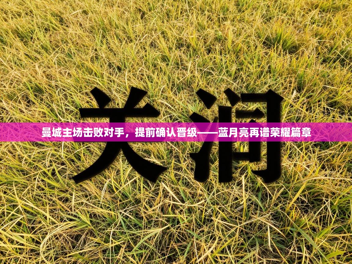 曼城主场击败对手，提前确认晋级——蓝月亮再谱荣耀篇章  第2张