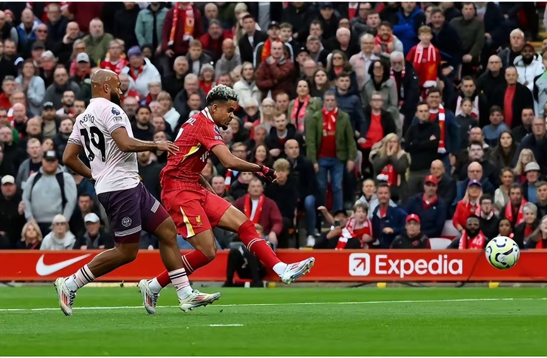 利物浦遭遇伤痛，欧冠夺冠形势岌岌可危的简单介绍